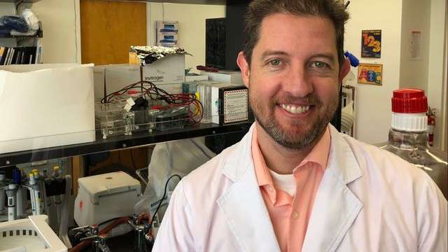 Dr. Steven Mittelman, chief of pediatric endocrinology at UCLA Mattel Children’s Hospital