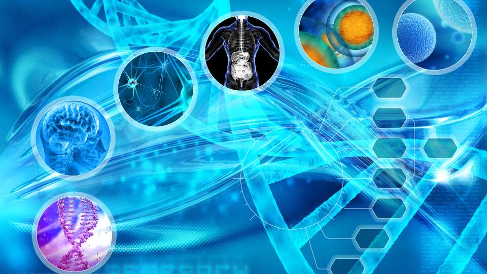 Digestive Diseases Research