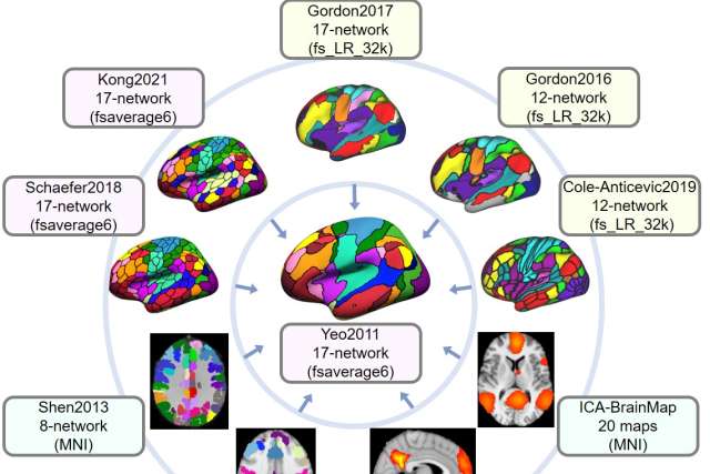 Ten example brain atlases are shown for illustrative purposes, with the center atlas serving as the reference atlases. All other surrounding atlases in different spaces are projected to the center atlas to compute Dice overlap coefficients with the reference networks.