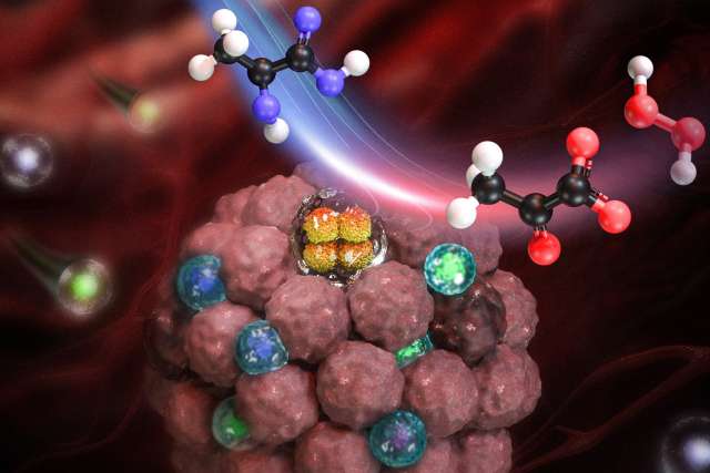 Nanocapsule