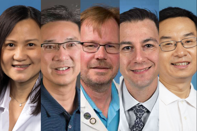 Study principal investigators.