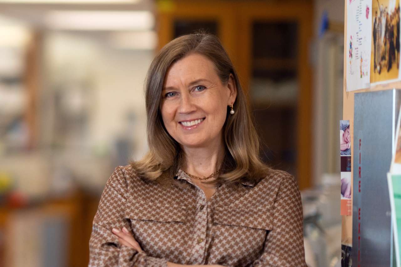 Hanna Mikkola