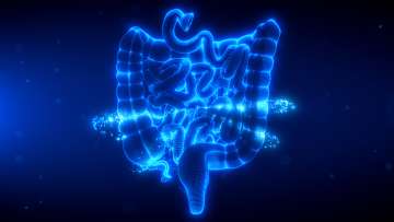 small bowel