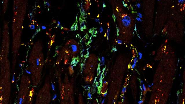 Umar Lab thumbnail
